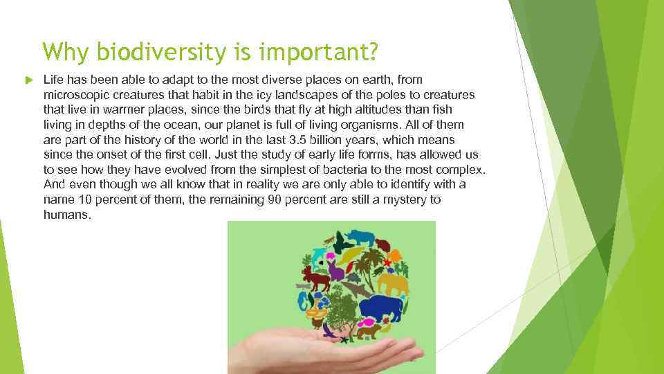 Why biodiversity is important? Life has been able to adapt to the most diverse