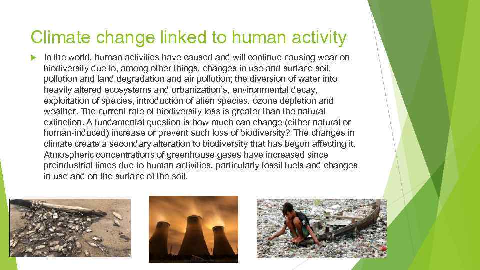 Climate change linked to human activity In the world, human activities have caused and