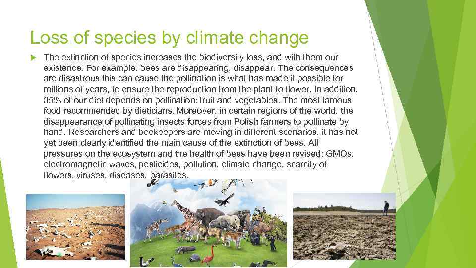 Loss of species by climate change The extinction of species increases the biodiversity loss,