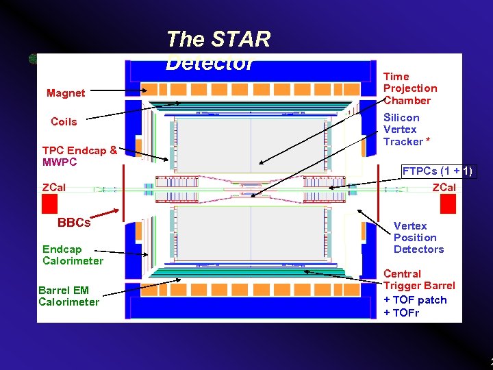 The STAR Detector Magnet Coils TPC Endcap & MWPC ZCal BBCs Endcap Calorimeter Barrel