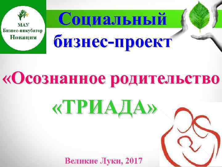 Социальный бизнес-проект «Осознанное родительство «ТРИАДА» Великие Луки, 2017 