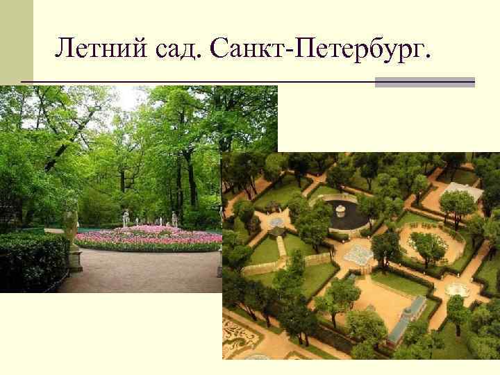 Летний сад. Санкт-Петербург. 