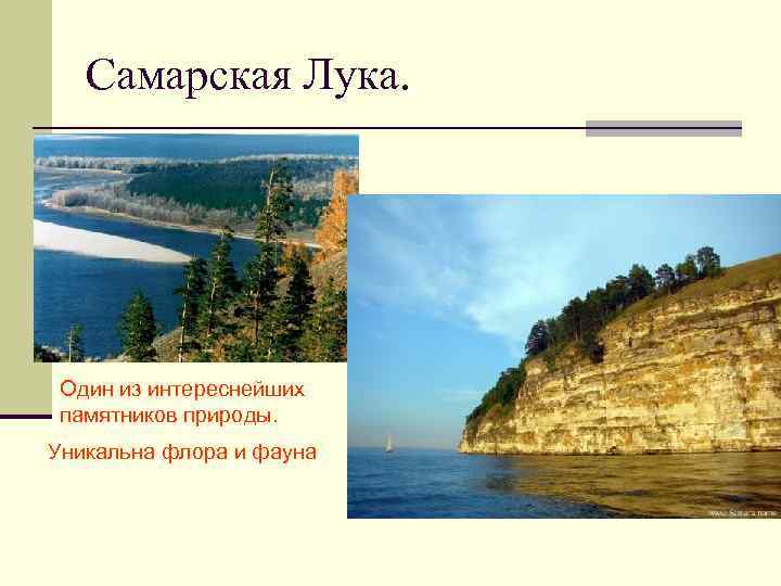 Самарская Лука. Один из интереснейших памятников природы. Уникальна флора и фауна 