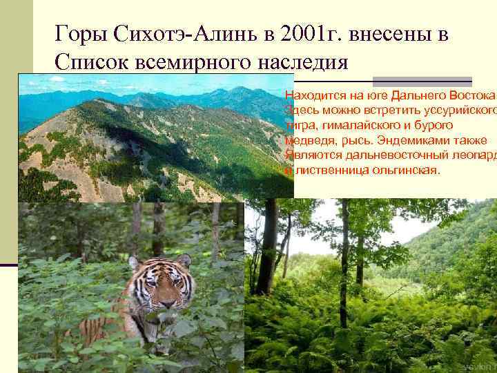 Горы Сихотэ-Алинь в 2001 г. внесены в Список всемирного наследия Находится на юге Дальнего
