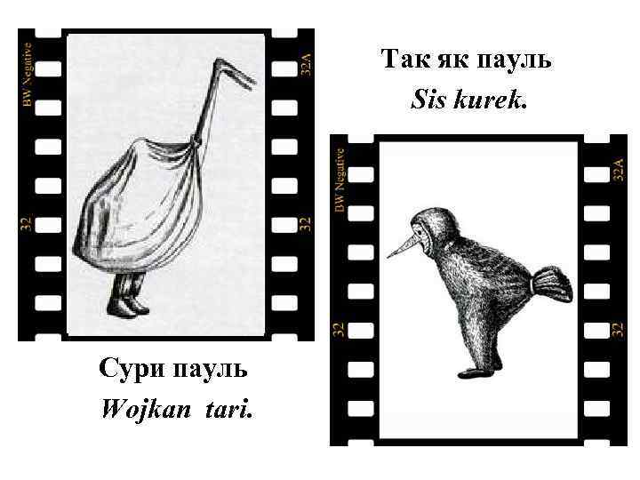 Так як пауль Sis kurek. Сури пауль Wojkan tari. 