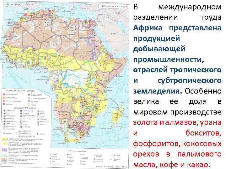 Место страны в международном географическом разделении труда.