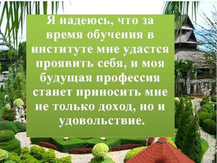 Я надеюсь, что за время обучения в институте мне удастся проявить себя, и моя