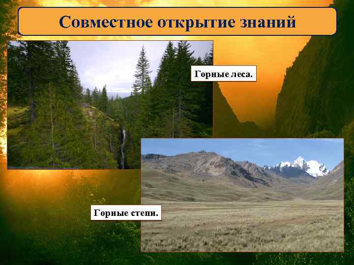 Совместное открытие знаний Горные леса. Горные степи. 