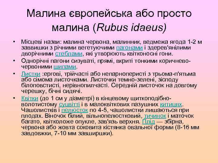 Малина європейська або просто малина (Rubus idaeus) • Місцеві назви: малина червона, малинник, ведмежа