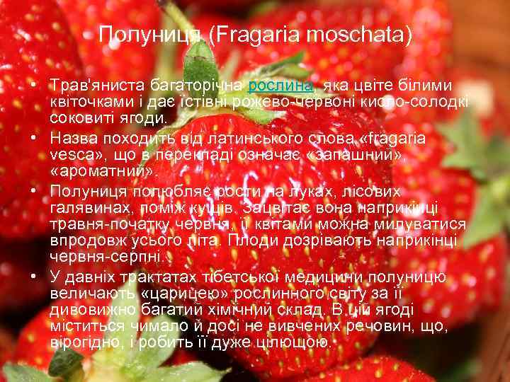 Полуниця (Fragaria moschata) • Трав'яниста багаторічна рослина, яка цвіте білими квіточками і дає їстівні