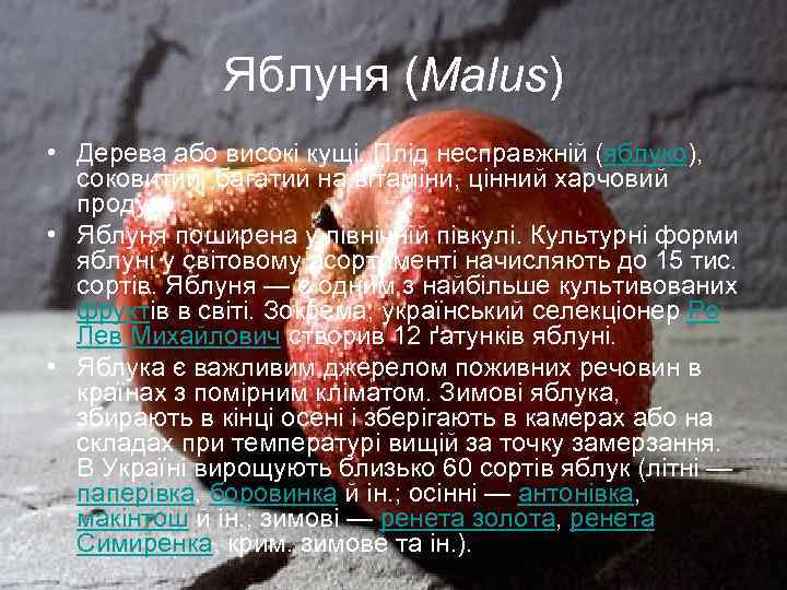 Яблуня (Malus) • Дерева або високі кущі. Плід несправжній (яблуко), соковитий, багатий на вітаміни,