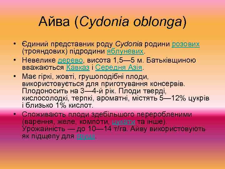 Айва (Cydonia oblonga) • Єдиний представник роду Cydonia родини розових (трояндових) підродини яблуневих. •