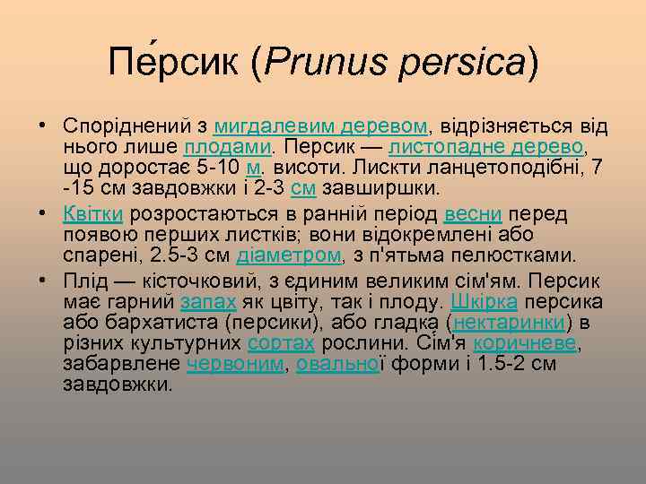 Пе рсик (Prunus persica) • Споріднений з мигдалевим деревом, відрізняється від нього лише плодами.