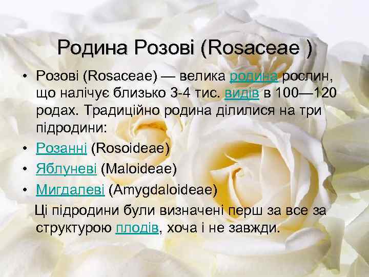 Родина Розові (Rosaceae ) • Розові (Rosaceae) — велика родина рослин, що налічує близько