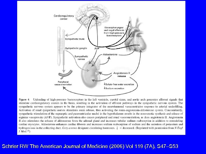 Schrier RW The American Journal of Medicine (2006) Vol 119 (7 A), S 47–S