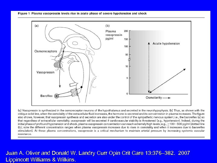 Juan A. Oliver and Donald W. Landry Curr Opin Crit Care 13: 376– 382.