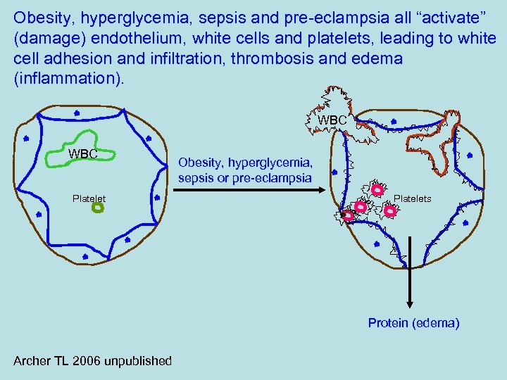 Obesity, hyperglycemia, sepsis and pre-eclampsia all “activate” (damage) endothelium, white cells and platelets, leading