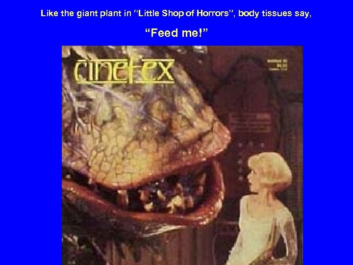 Like the giant plant in “Little Shop of Horrors”, body tissues say, “Feed me!”