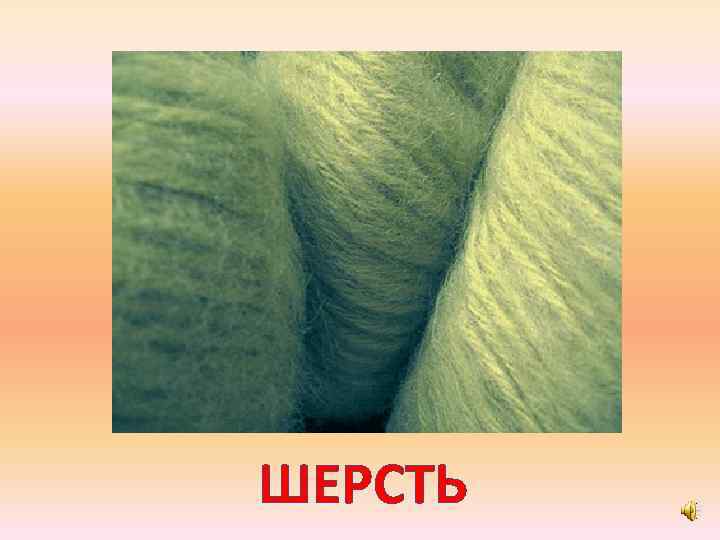 ШЕРСТЬ 