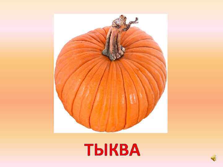 ТЫКВА 