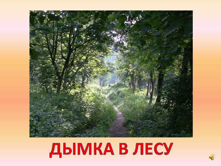 ДЫМКА В ЛЕСУ 