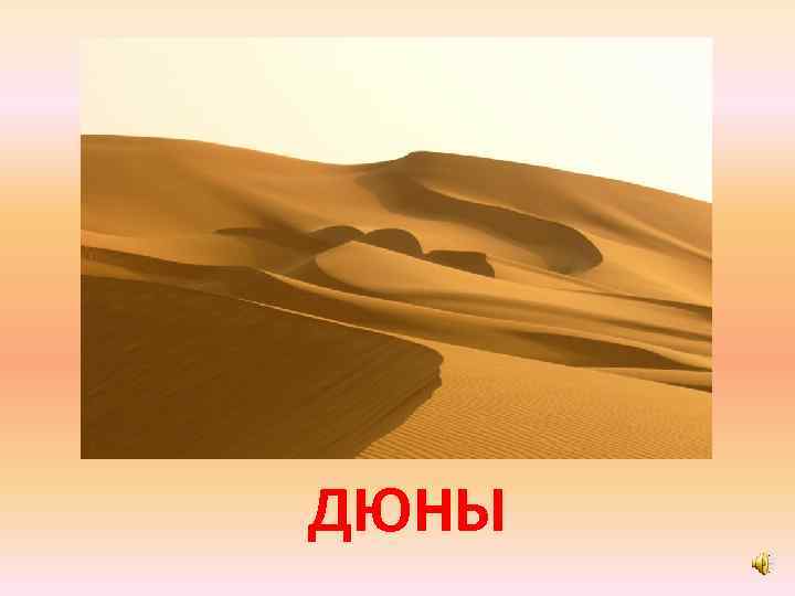 ДЮНЫ 