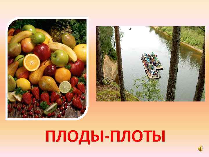 ПЛОДЫ-ПЛОТЫ 