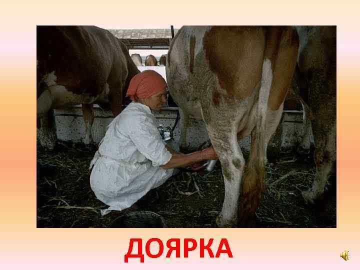 ДОЯРКА 