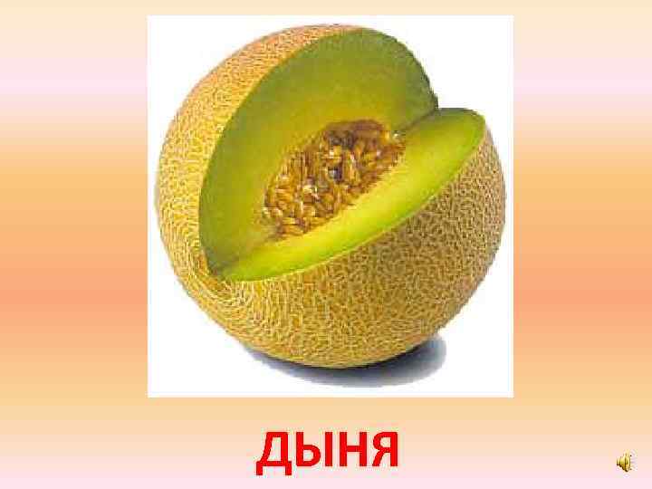 ДЫНЯ 