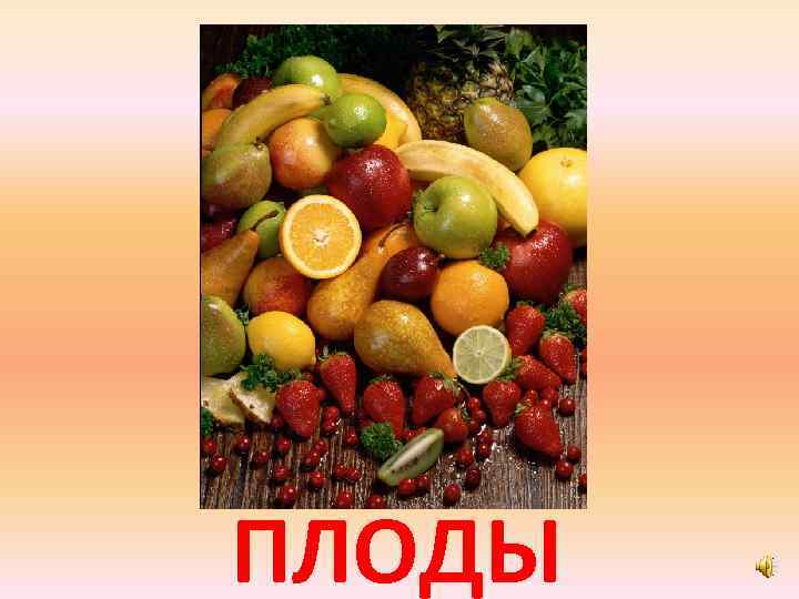 ПЛОДЫ 