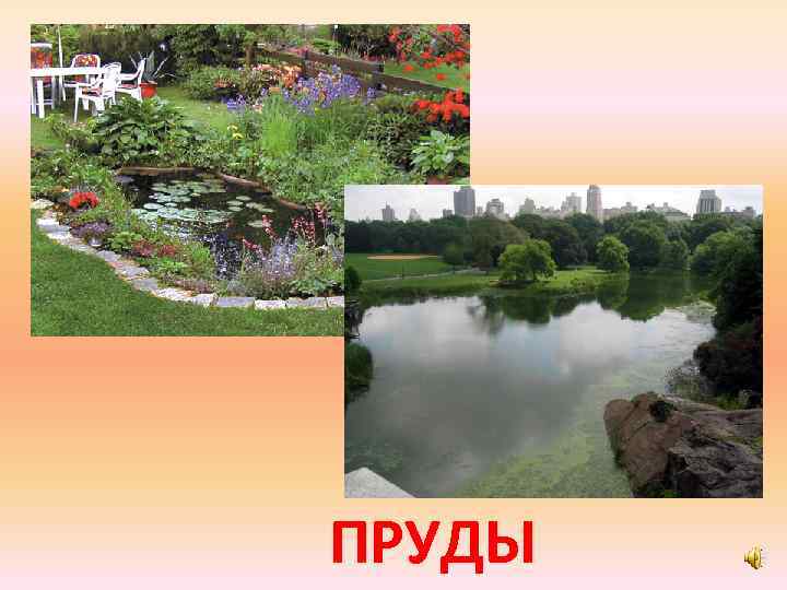 ПРУДЫ 