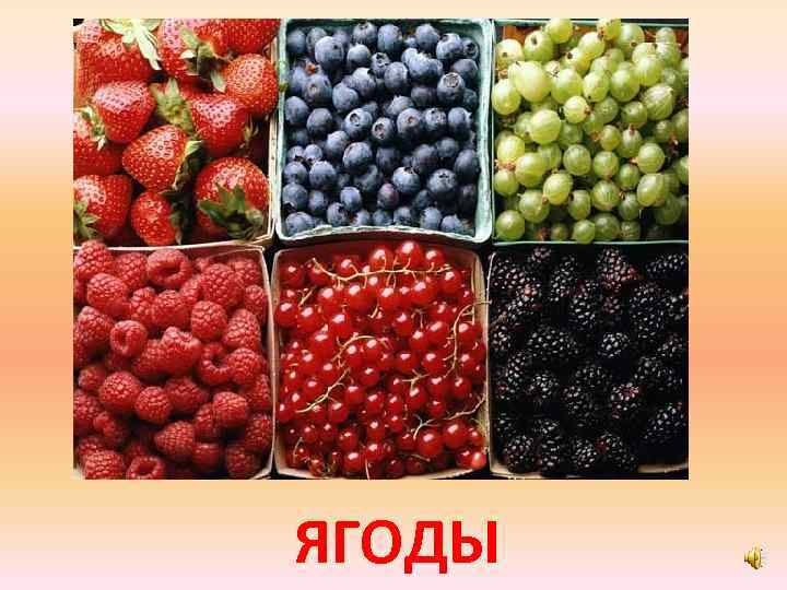 ЯГОДЫ 