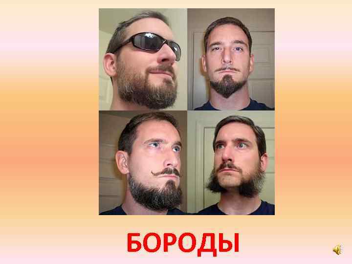 БОРОДЫ 