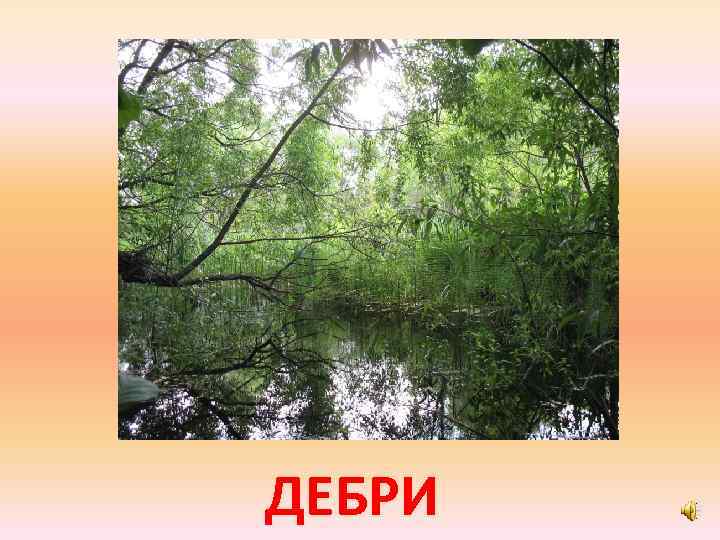 ДЕБРИ 