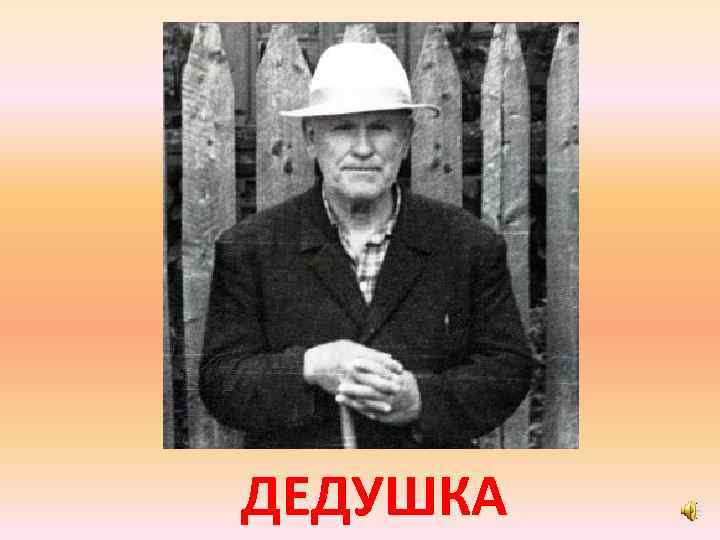 ДЕДУШКА 