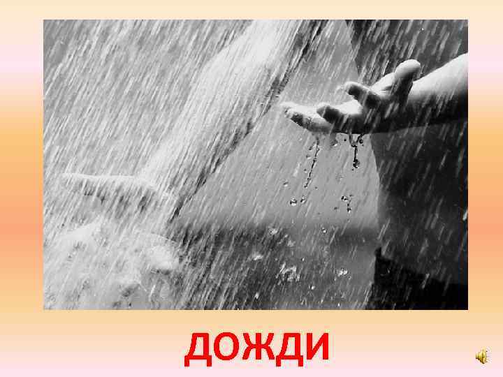 ДОЖДИ 