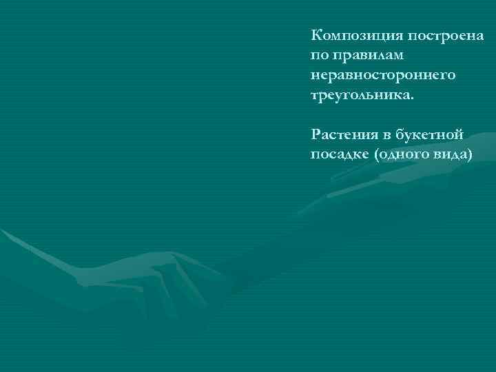 Композиция построена по правилам неравностороннего треугольника. Растения в букетной посадке (одного вида) 