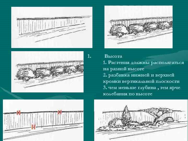 1. Высота 1. Растения должны располагаться на разной высоте 2. разбивка нижней и верхней