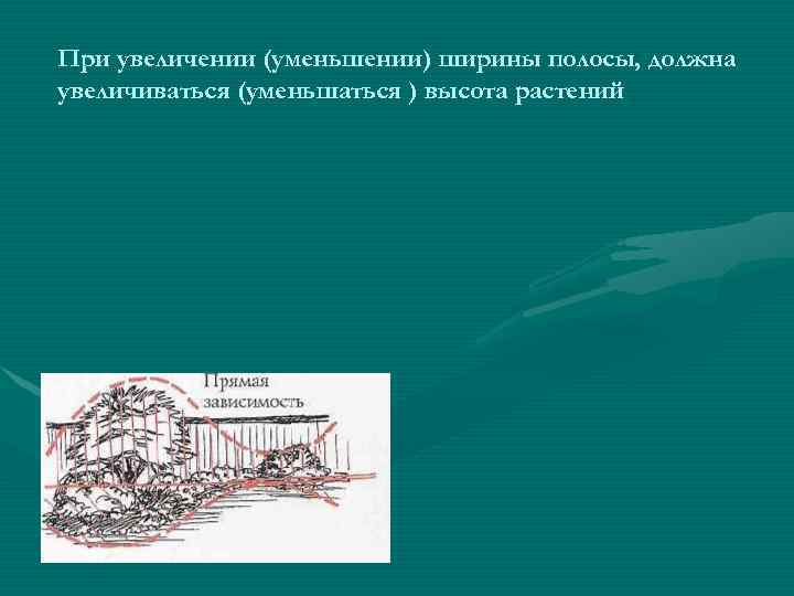 При увеличении (уменьшении) ширины полосы, должна увеличиваться (уменьшаться ) высота растений 