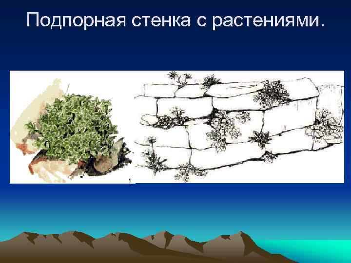 Подпорная стенка с растениями. 