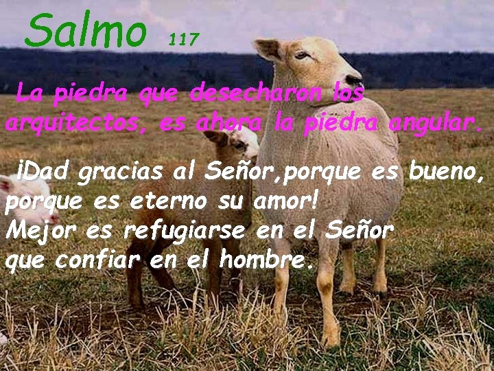 Salmo 117 La piedra que desecharon los arquitectos, es ahora la piedra angular. ¡Dad