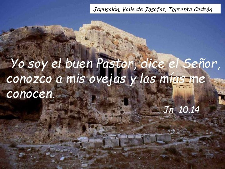 Jerusalén. Valle de Josafat. Torrente Cedrón Yo soy el buen Pastor, dice el Señor,