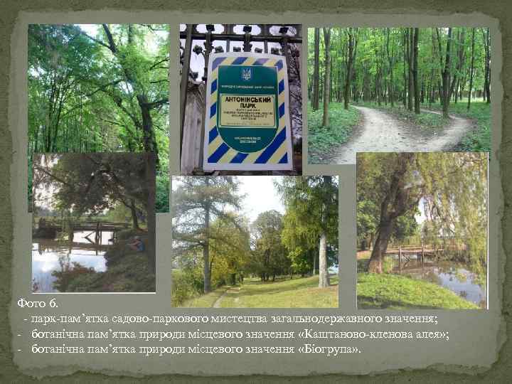 Фото 6. - парк-пам’ятка садово-паркового мистецтва загальнодержавного значення; - ботанічна пам’ятка природи місцевого значення