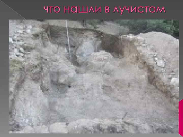 что нашли в лучистом 