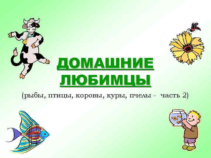 ДОМАШНИЕ ЛЮБИМЦЫ (рыбы, птицы, коровы, куры, пчелы - часть 2) 