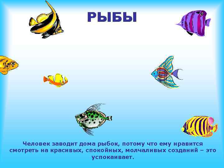 РЫБЫ Человек заводит дома рыбок, потому что ему нравится смотреть на красивых, спокойных, молчаливых