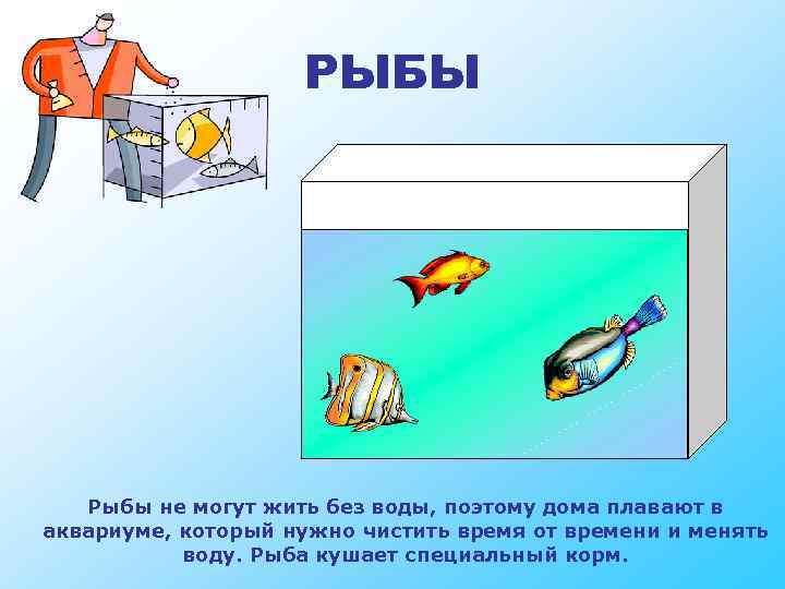 РЫБЫ Рыбы не могут жить без воды, поэтому дома плавают в аквариуме, который нужно