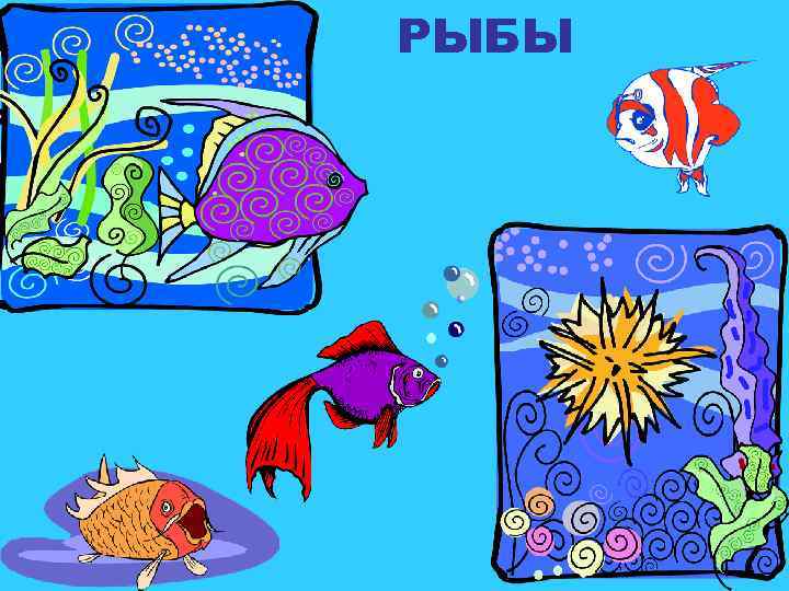 РЫБЫ 