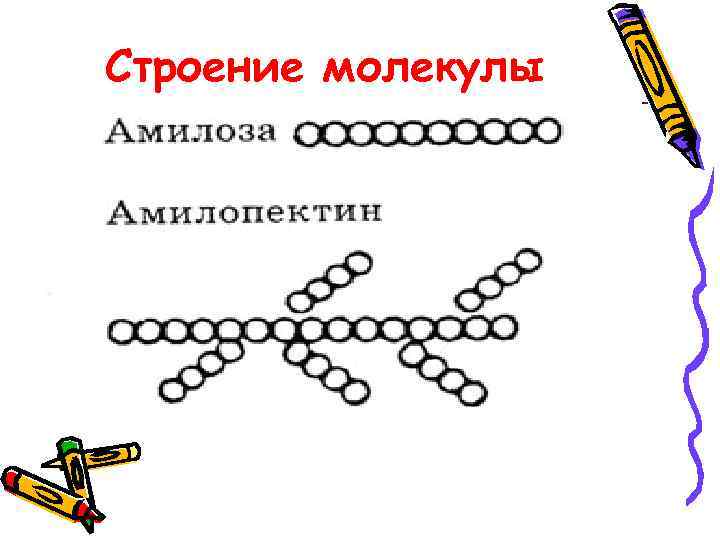 Строение молекулы 