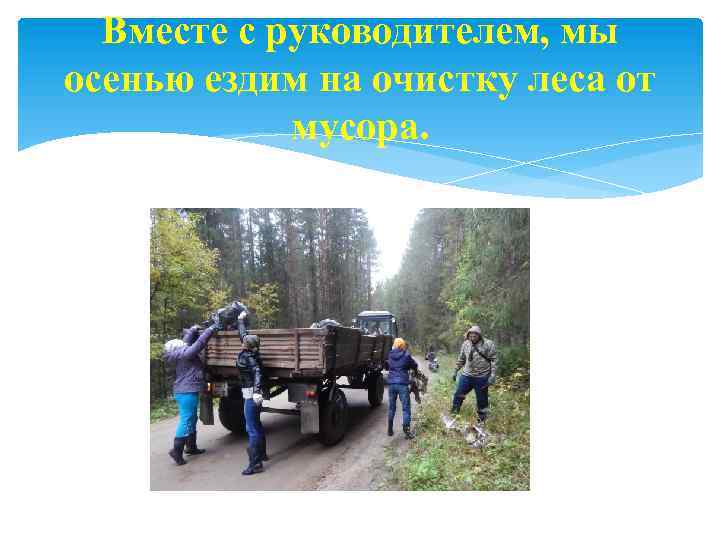 Вместе с руководителем, мы осенью ездим на очистку леса от мусора. 